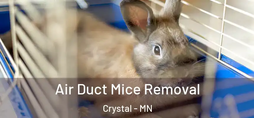 Air Duct Mice Removal Crystal - MN