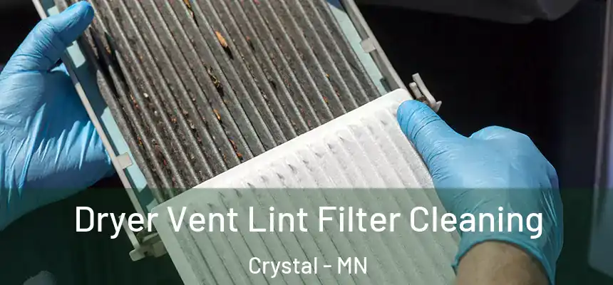  Dryer Vent Lint Filter Cleaning Crystal - MN