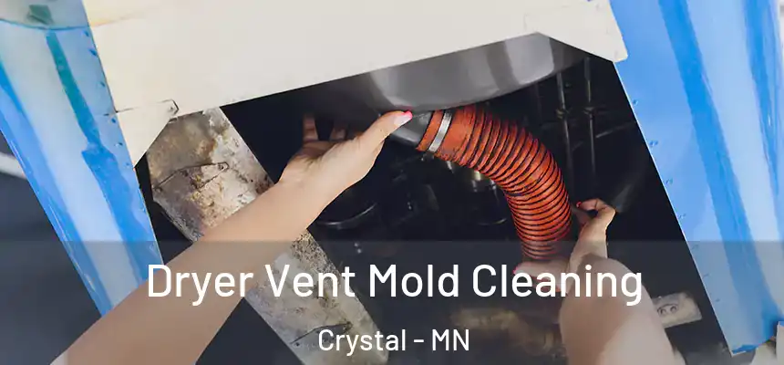  Dryer Vent Mold Cleaning Crystal - MN