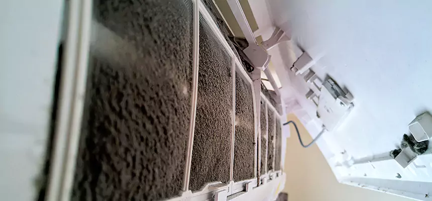 Preventive Air Duct Bacteria Removal in Crystal