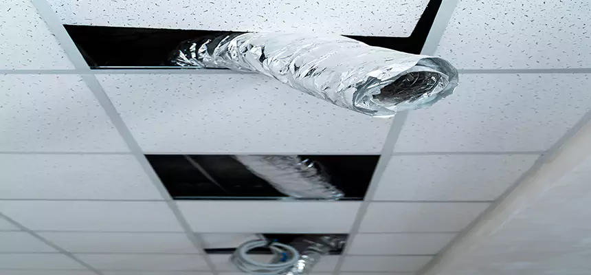 Affordable HVAC Sanitizing After Pest Removal in Crystal