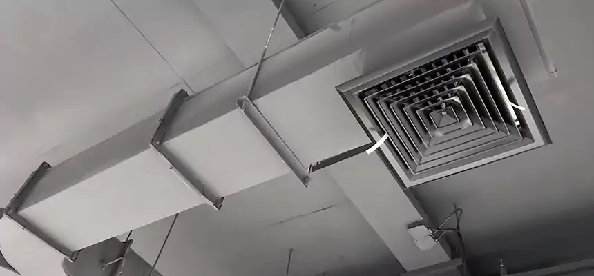 Restorative Allergy Relief Vent Cleaning – Coil, Blower & Housing Detail in Crystal