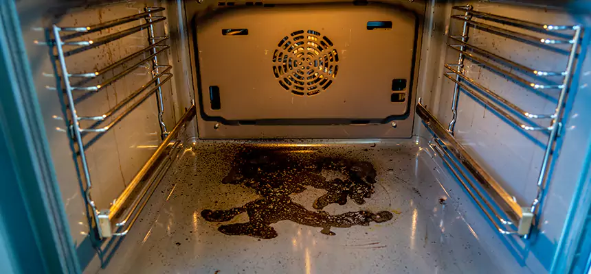 Our Dryer Vent Mold Cleaning Services in Crystal, MN