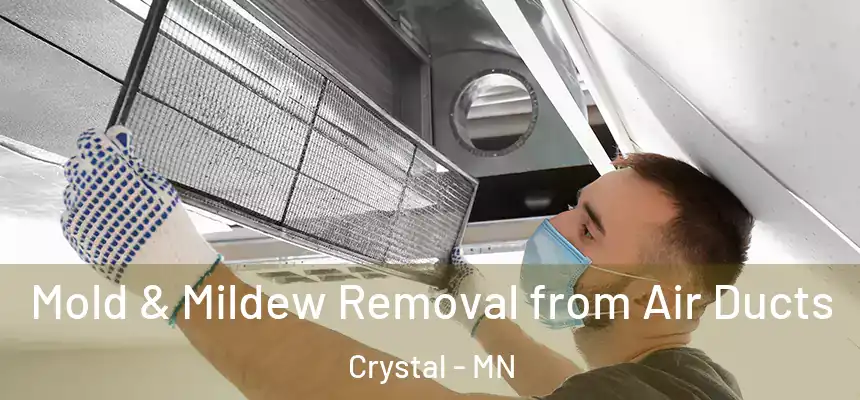  Mold & Mildew Removal from Air Ducts Crystal - MN