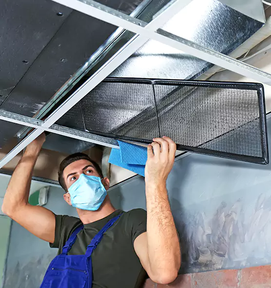 About Air Duct Bacteria Removal in Crystal