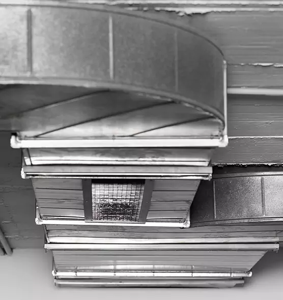 Professional Air Duct Pest Removal in Crystal, MN