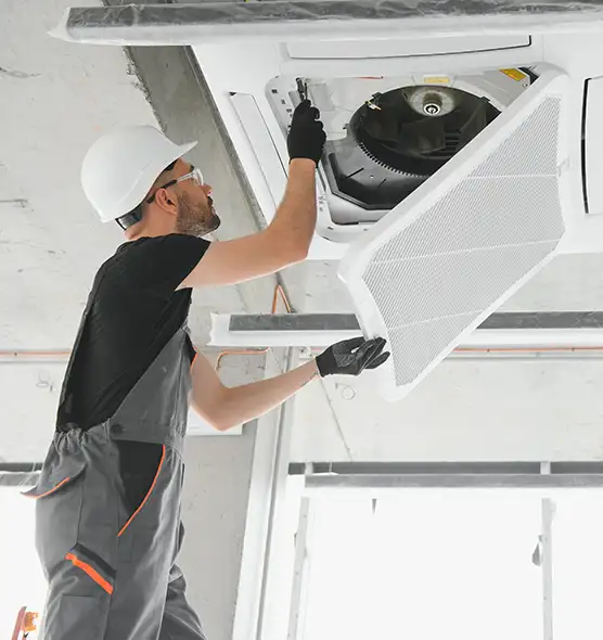 About Air Duct Rodent Removal in Crystal, MN