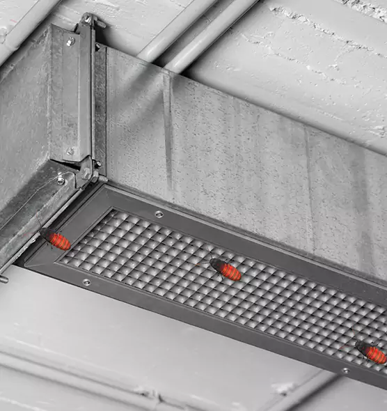 Affordable Insect Removal from Air Ducts in Crystal, MN