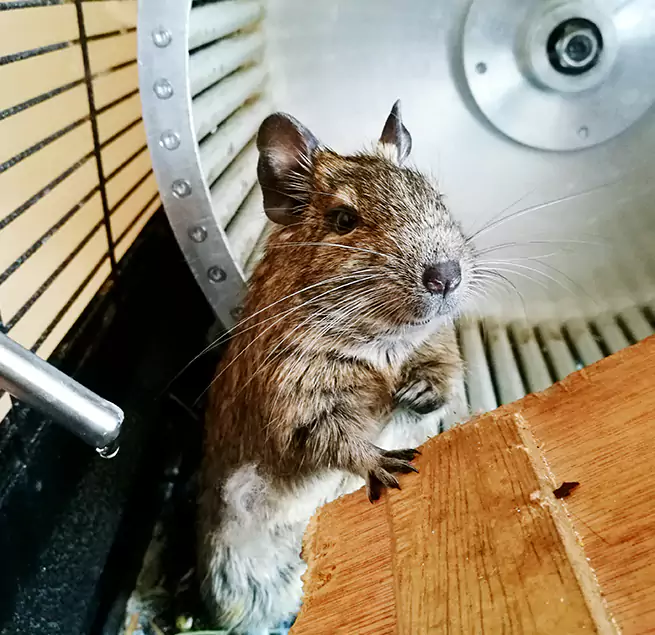 Why Homeowners & Businesses Trust Us Crystal, MN?